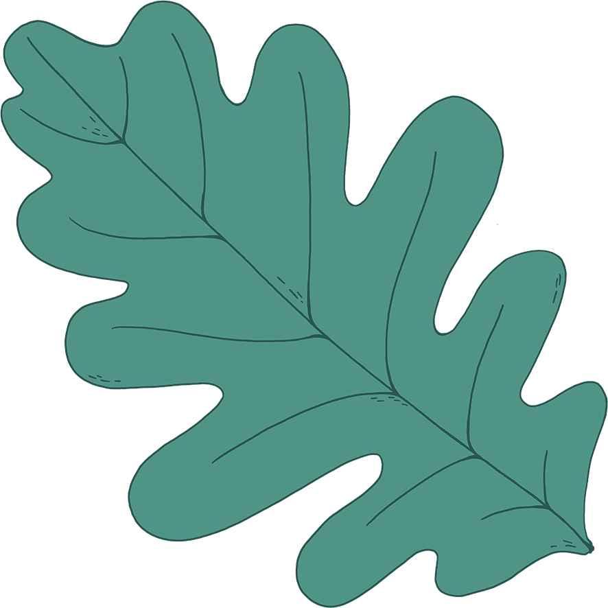leaf