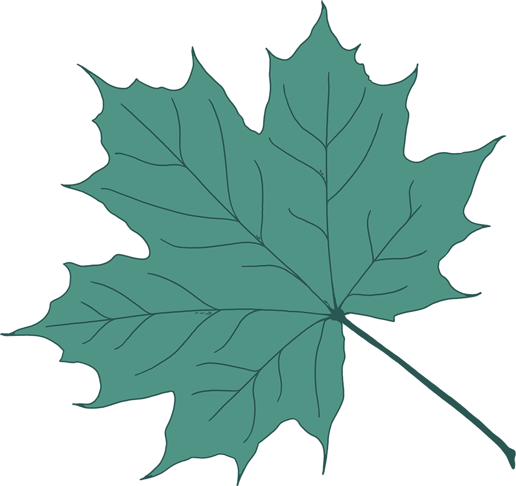 leaf
