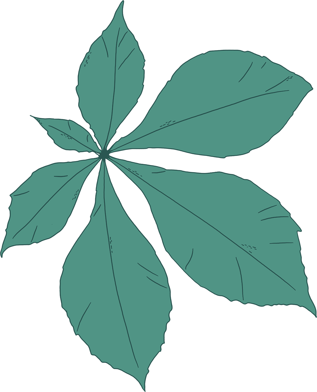 leaf