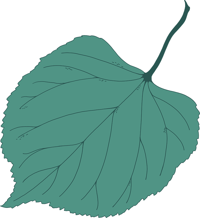 leaf