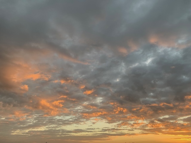 Soleil, orages et brouillard: les couleurs du temps